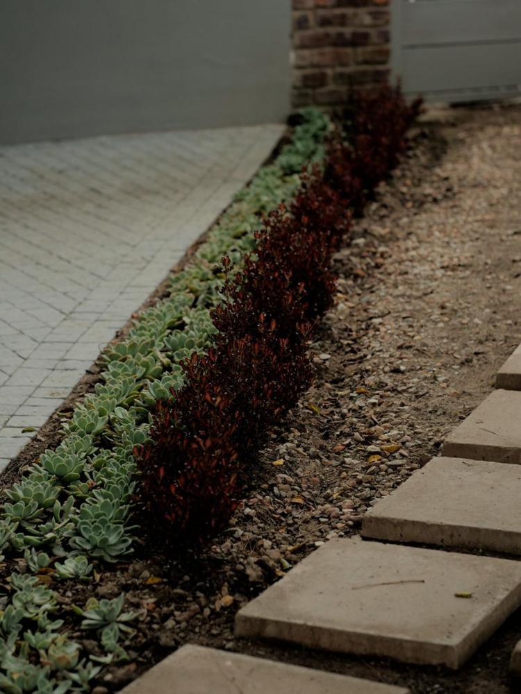 Arbour1 Guesthouse George Dış mekan fotoğraf